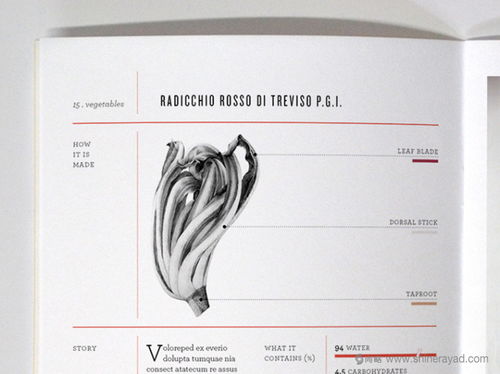 tenuta 農產品企業品牌形象設計人物logo設計包裝設計網站設計 上海品牌設計公司